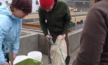 Salmon Recovery on the Columbia River