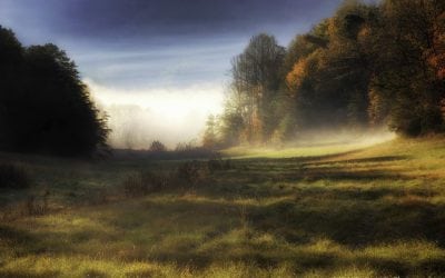 Shadows Assignment Winner Mike Swindle