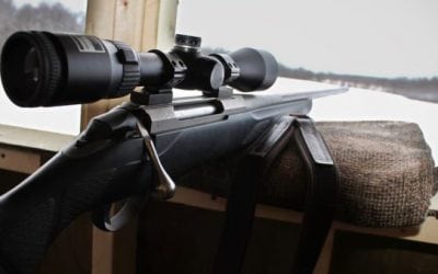 Sportsman’s Guide’s Whitetail Universe is in Phase 4: Late Season