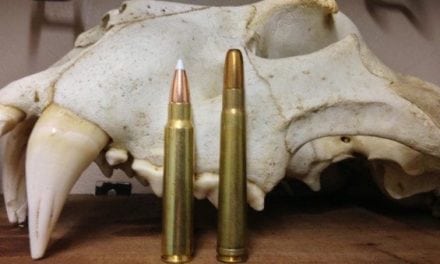 The 5 Most Underrated Rifle Cartridges for Hunting