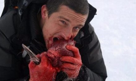 The Bear Grylls Adventure is Set to Combine Wilderness Survival with Theme Park