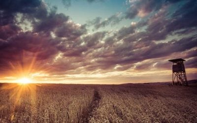 The Latest Additions to One of the Best Outdoor Black Friday Sales Ever