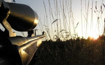 The Truth About Barrel Length, Muzzle Velocity and Accuracy