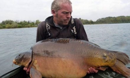 They’re Calling This Fish the Biggest Carp Ever Caught in Britain