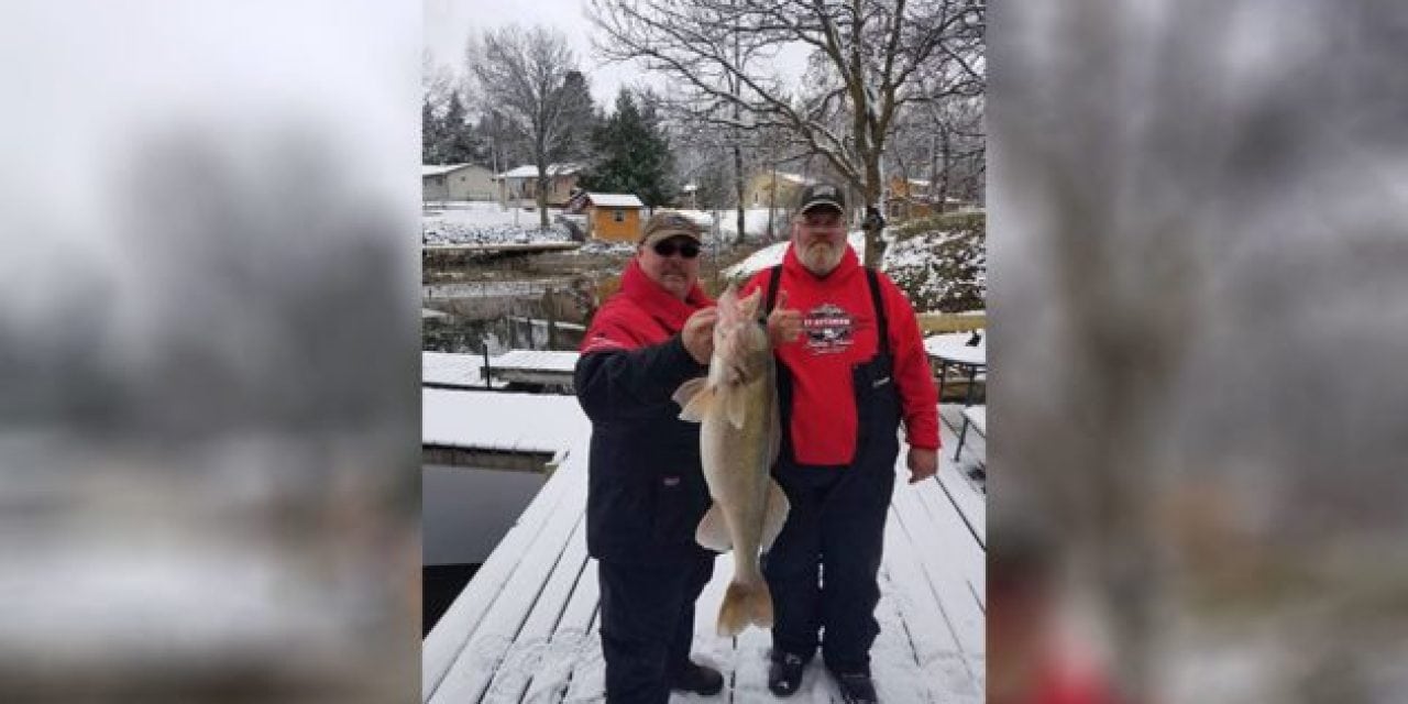 This 33-Inch Walleye is Hard Not to Stare At