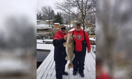 This 33-Inch Walleye is Hard Not to Stare At