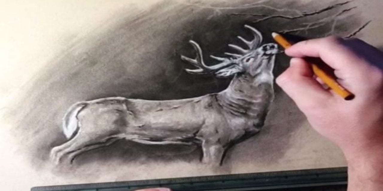 This Artist’s Video Drawings of Wildlife are Mesmerizing and Incredible