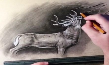 This Artist’s Video Drawings of Wildlife are Mesmerizing and Incredible
