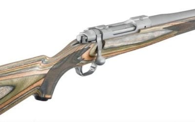 Top 10 Best Bolt Action Rifles Ever Made