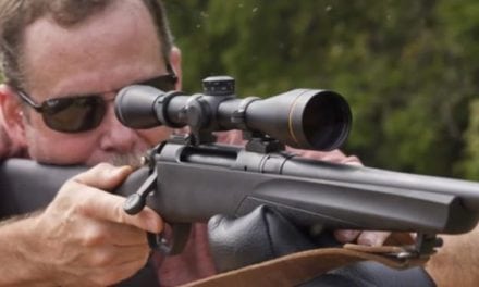 Top 5 Deer Rifles Under $330