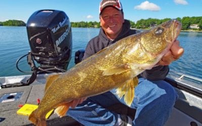 Trouble Catching Open-Water ’Eyes? The Answer is Clear…