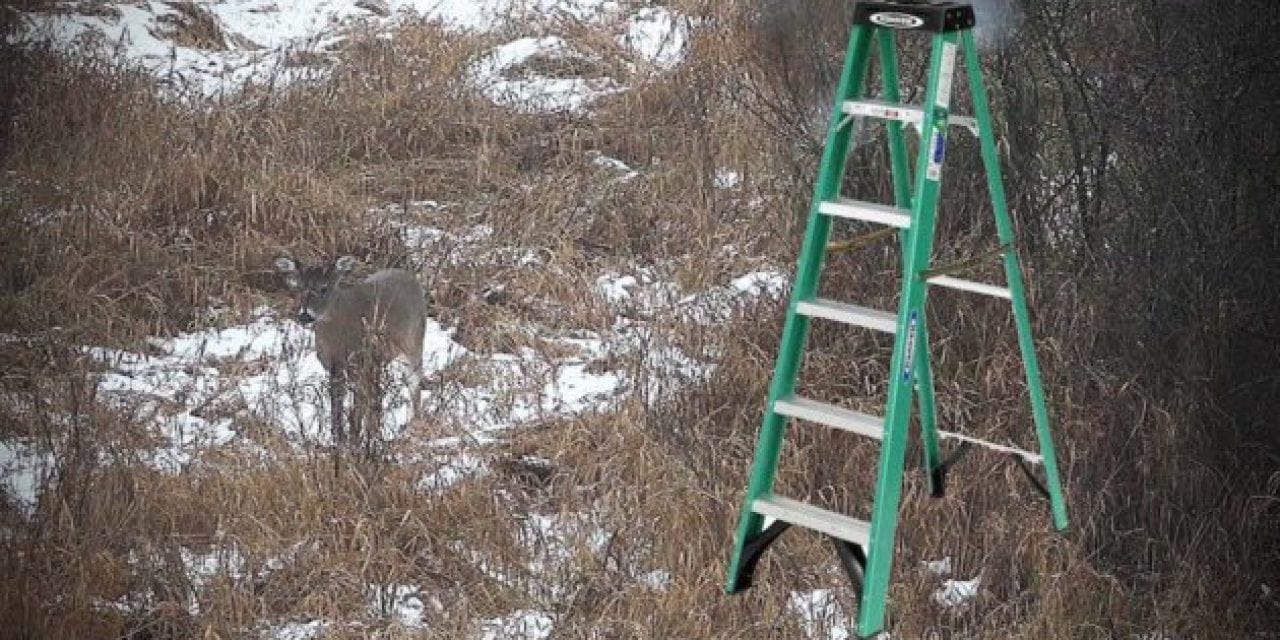 Using a Step Ladder as a Portable Stand