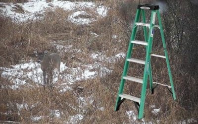 Using a Step Ladder as a Portable Stand