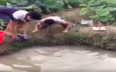 Video: Ever Catch a Snake with Your Lips?