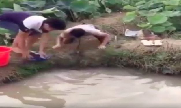 Video: Ever Catch a Snake with Your Lips?