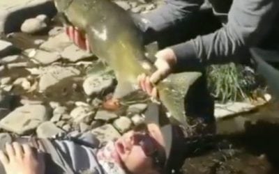 Video: Here’s a Mean But Hilarious Fish Egg Prank Performed to Perfection