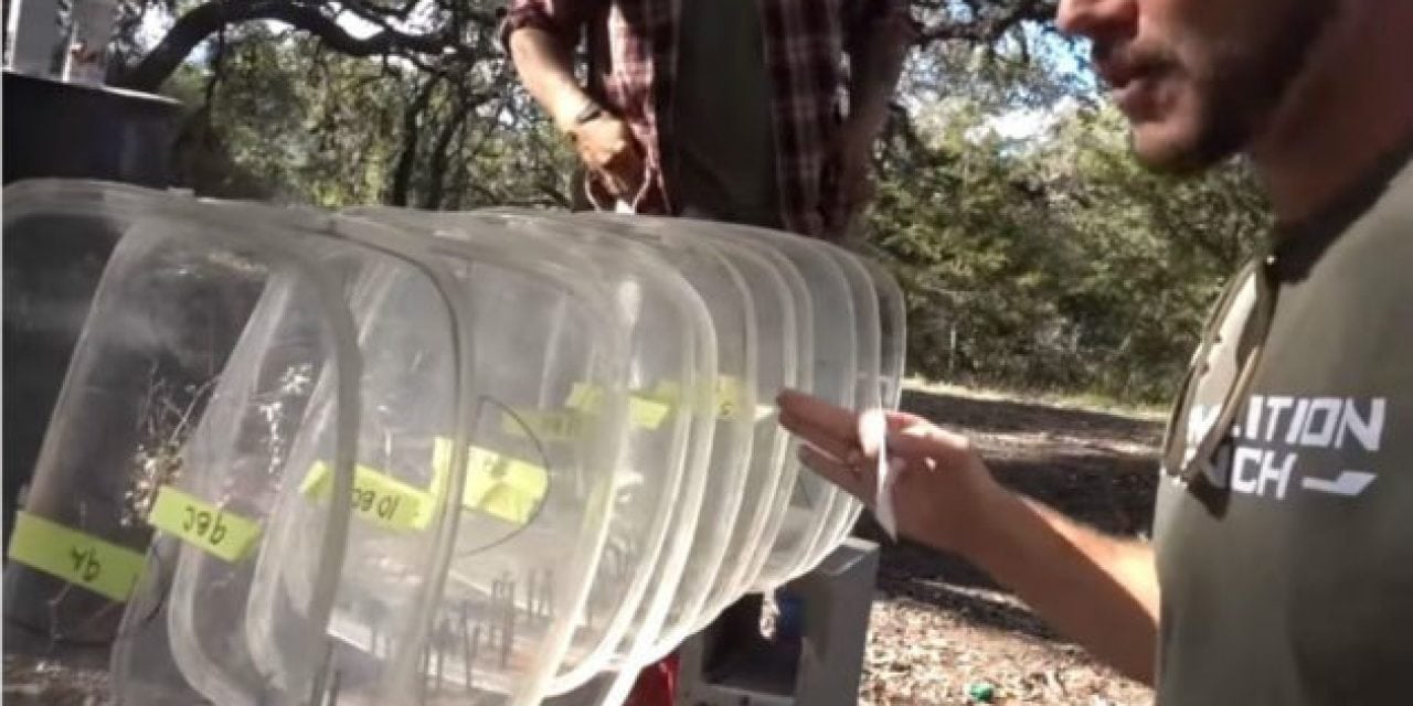 Video: How Bulletproof are Airplane Windows?