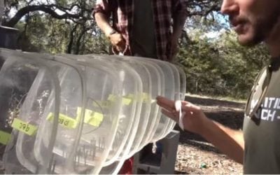 Video: How Bulletproof are Airplane Windows?
