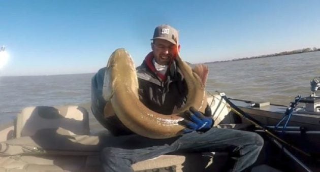Video: No Big Deal, Just a 53-Inch Muskie Slapping This Guy’s Face