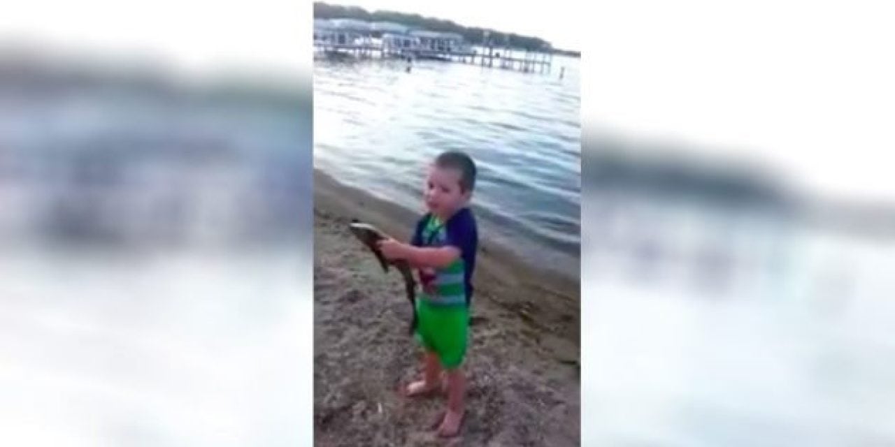 Video: This Kid Catching a Fish By Hand Will Leave You Smiling