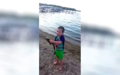 Video: This Kid Catching a Fish By Hand Will Leave You Smiling