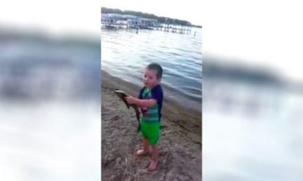 Video: This Kid Catching a Fish By Hand Will Leave You Smiling