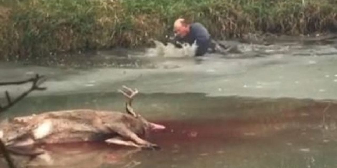 Video: This Wisconsin Deer Retrieve Has ‘Wet and Cold’ Written All Over It