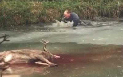 Video: This Wisconsin Deer Retrieve Has ‘Wet and Cold’ Written All Over It