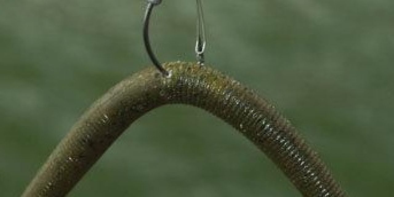 Wacky Worm Rig Often Tempts Finicky Bass