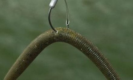 Wacky Worm Rig Often Tempts Finicky Bass