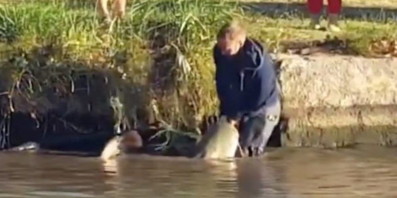 Wait Until You See How This Angler Lands This Giant Catfish