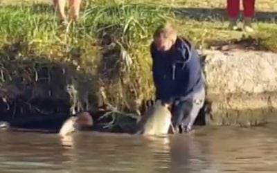 Wait Until You See How This Angler Lands This Giant Catfish