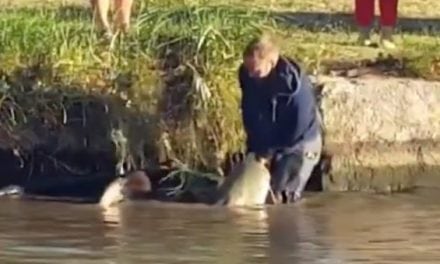 Wait Until You See How This Angler Lands This Giant Catfish