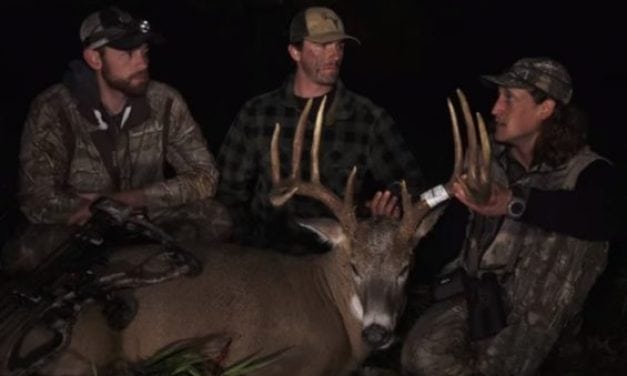 Watch This Epic Ghillie Suit Bowhunt from the Ground on Public Land