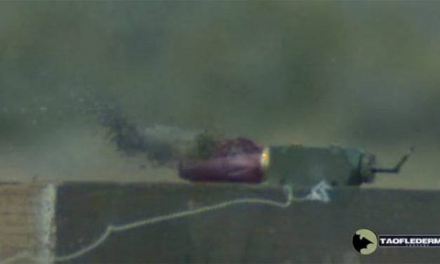 What Happens When a Shotgun Shell Explodes Outside a Gun?