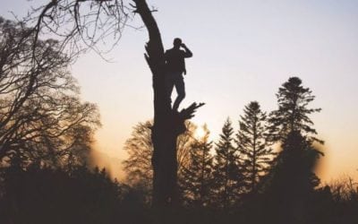 What Not To Do When You Fall Out of Your Treestand