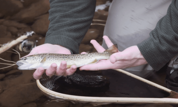 When It Comes to the Secrets of Fly Fishing, It’s All About Perseverance