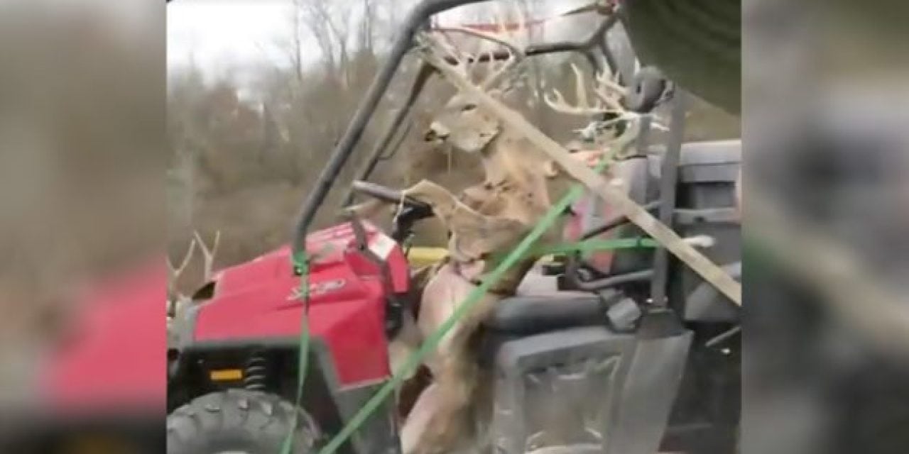 #WhitetailWednesday: Yup…It Might Be Deer Season