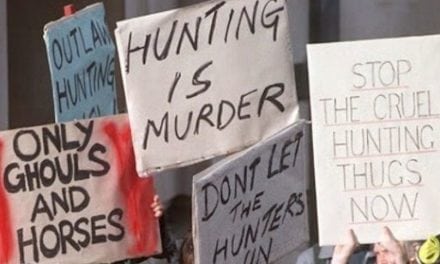 10 Facts Anti-Hunters Refuse to Acknowledge