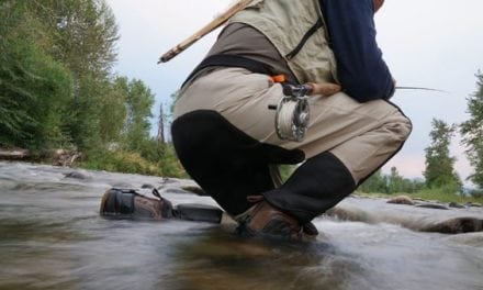 11 Sweet Fly Fishing Films