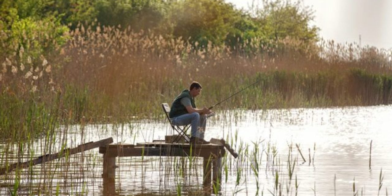 7 Fantastic Fishing Stories from 2017