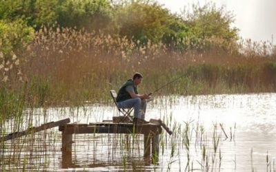 7 Fantastic Fishing Stories from 2017