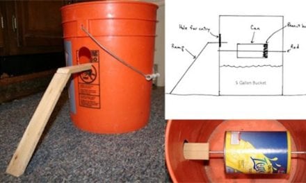 8 Genius DIY Mouse Traps That Will Fix Your Problem