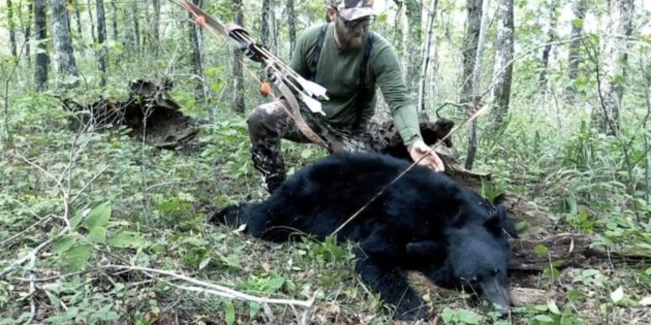 A Public Land Traditional Archery Bear Hunt in Arkansas Is Not for Sissies