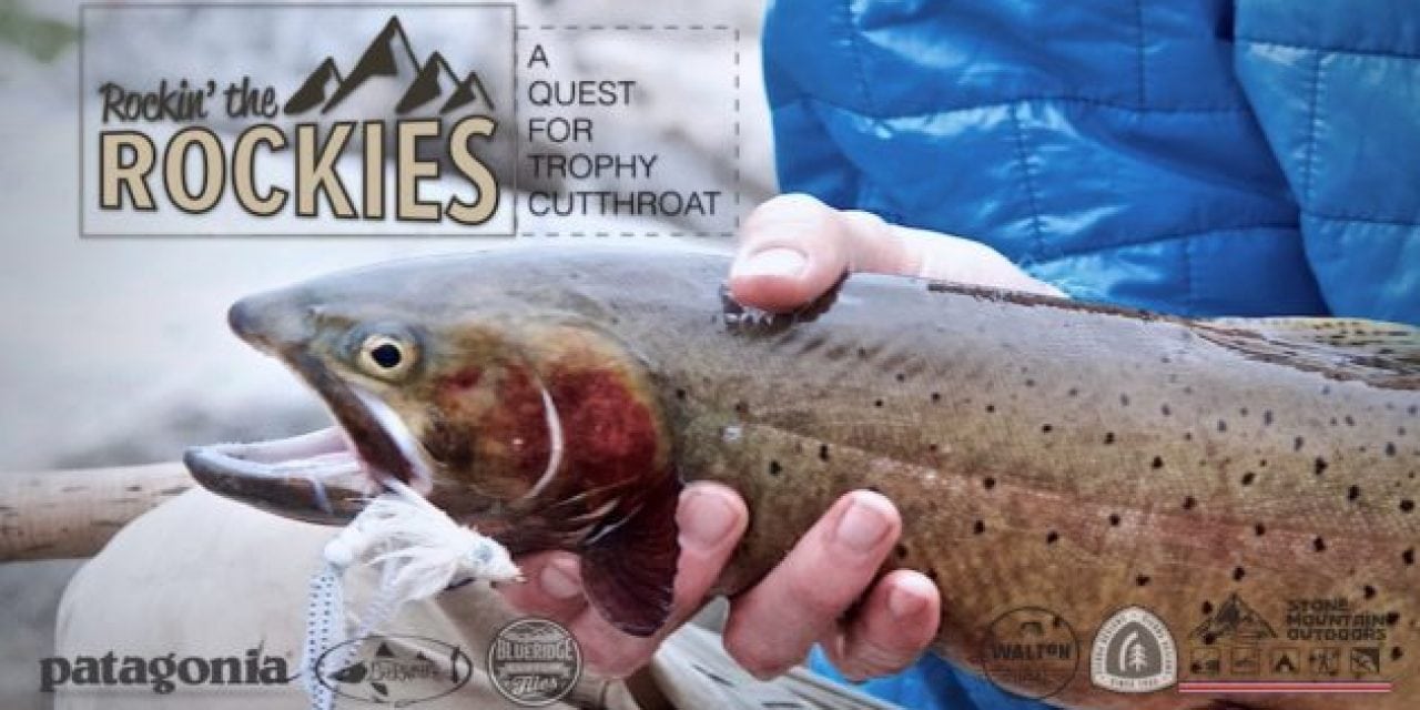 Alpine Cutthroat Trout Fishing Like You Have Never Seen Before