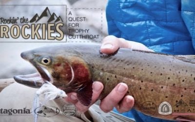 Alpine Cutthroat Trout Fishing Like You Have Never Seen Before