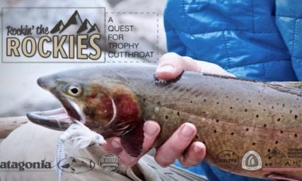 Alpine Cutthroat Trout Fishing Like You Have Never Seen Before