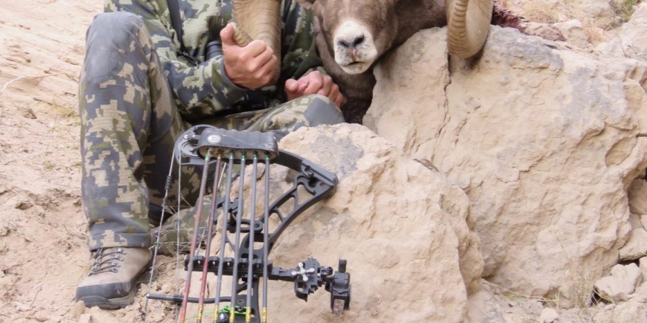 Archery hunter’s bighorn sheep likely a Nebraska record
