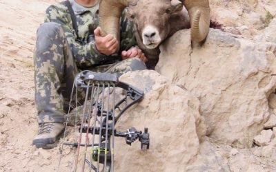 Archery hunter’s bighorn sheep likely a Nebraska record