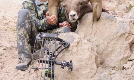 Archery hunter’s bighorn sheep likely a Nebraska record